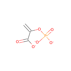 phosphoenol pyruvate